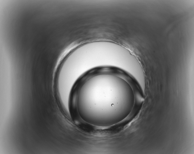 X0000087370248200704271500