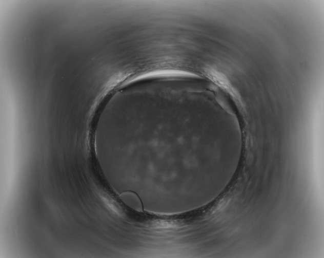 X0000087370250200704271500