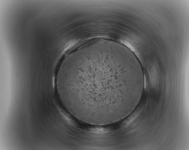 X0000087370253200704271500