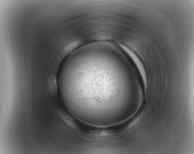 X0000087370254200704271500