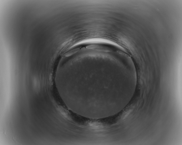 X0000087370258200704271500