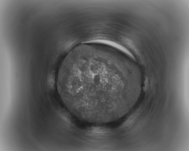 X0000087370259200704271500