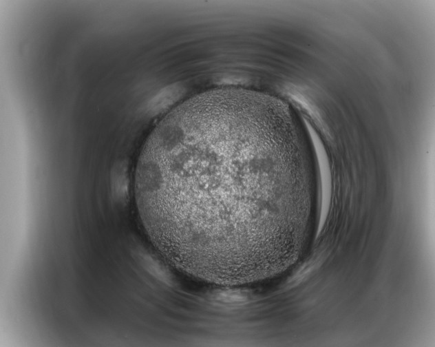 X0000087370261200704271500
