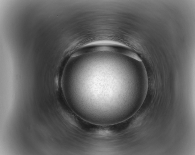 X0000087370262200704271500