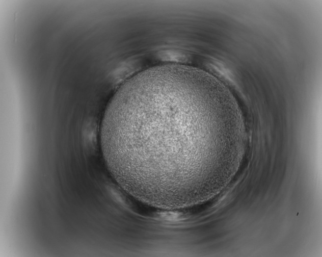 X0000087370265200704271500