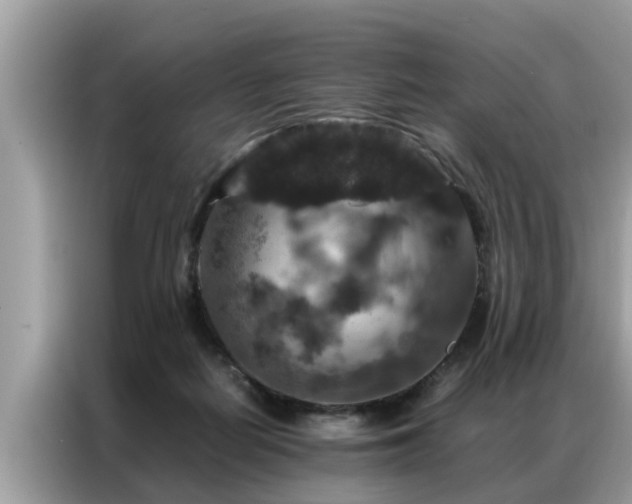 X0000087370266200704271500