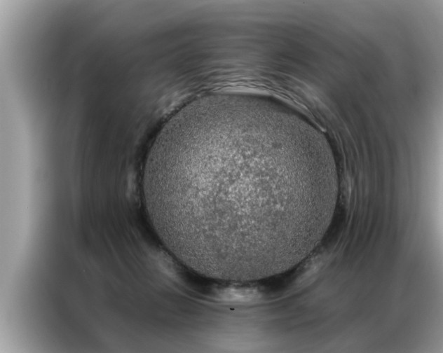 X0000087370270200704271500