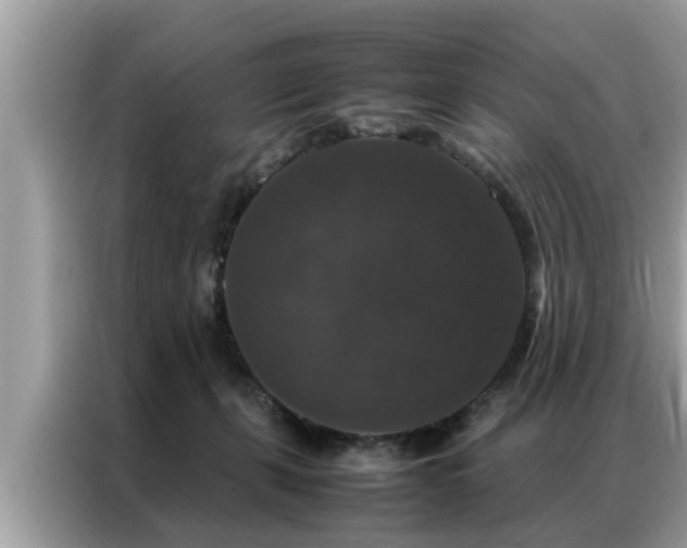 X0000087370271200704271500