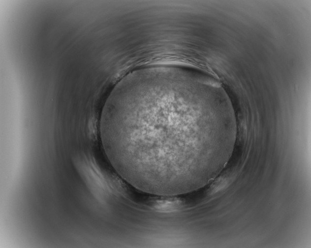 X0000087370274200704271500