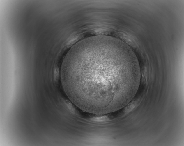 X0000087370278200704271500