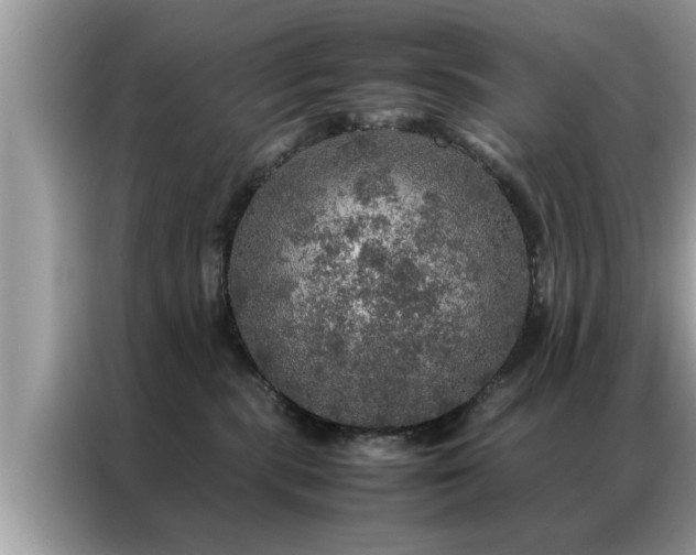 X0000087370283200704271500