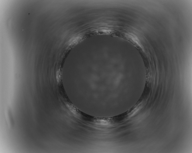 X0000087370285200704271500