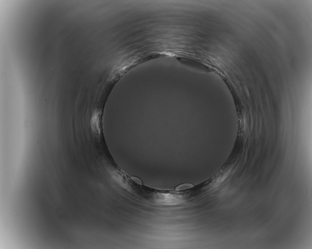 X0000087370286200704271500
