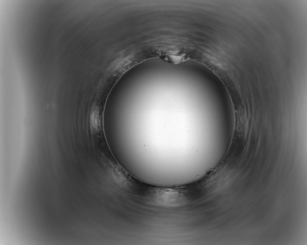 X0000087370287200704271500