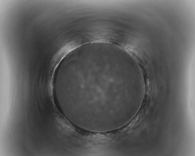 X0000087370290200704271500