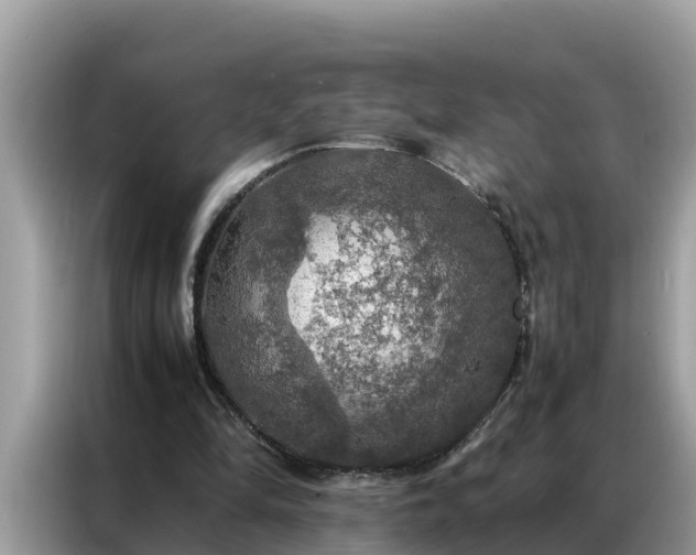 X0000087370294200704271500