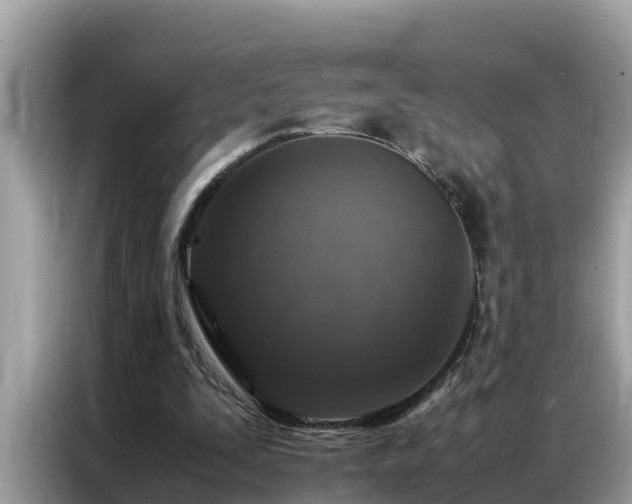 X0000087370295200704271500