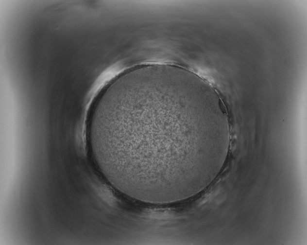 X0000087370296200704271500