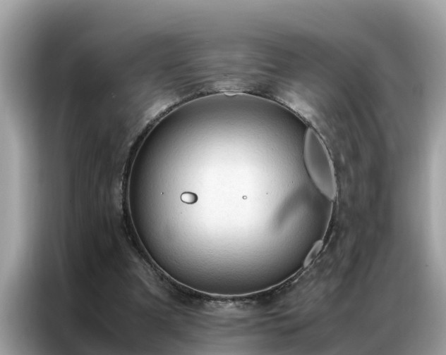 X0000087370297200704271500