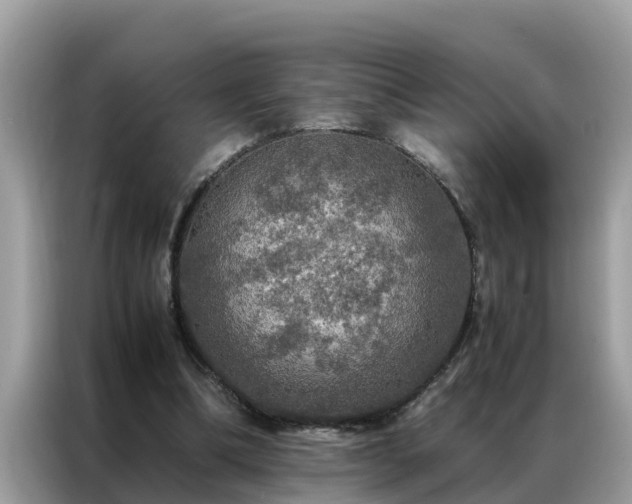 X0000087370298200704271500
