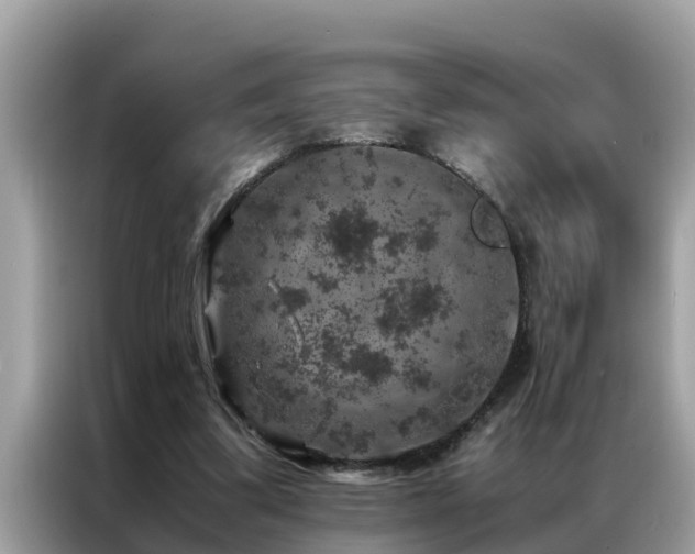 X0000087370299200704271500