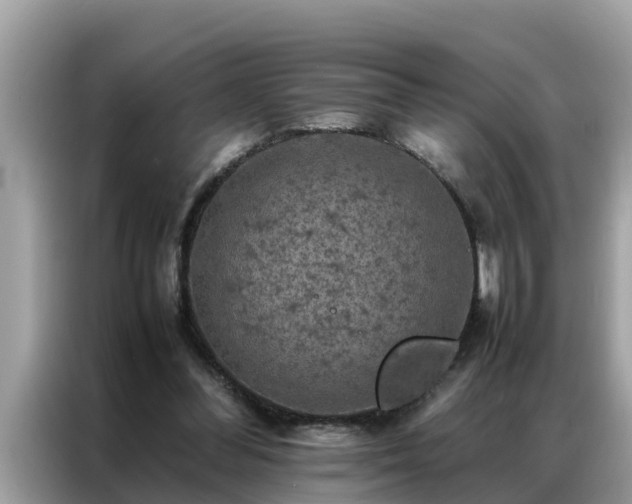 X0000087370300200704271500