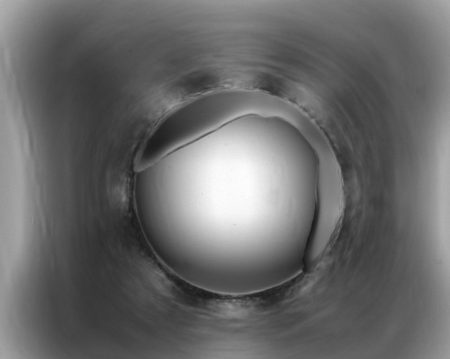 X0000087370305200704271500