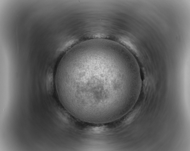 X0000087370306200704271500