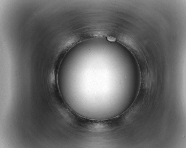 X0000087370310200704271459
