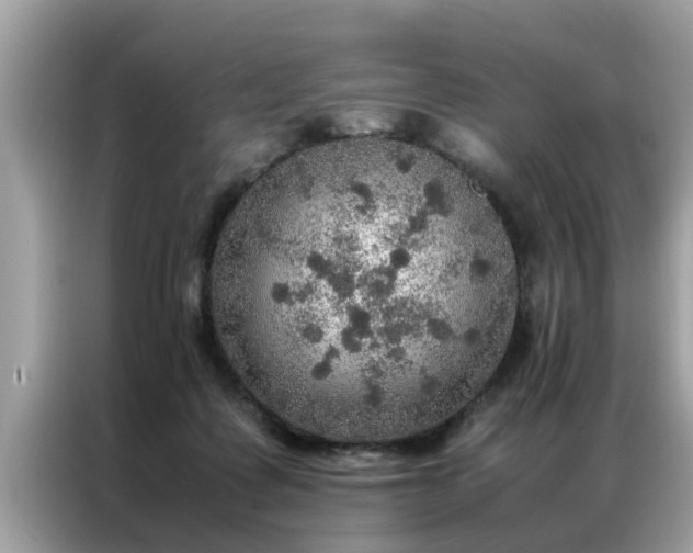 X0000087370315200704271459