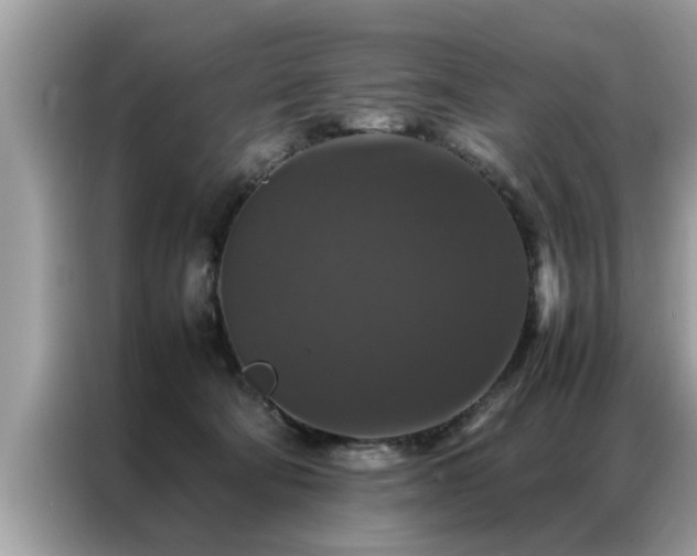 X0000087370322200704271459