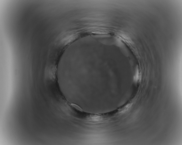 X0000087370325200704271459