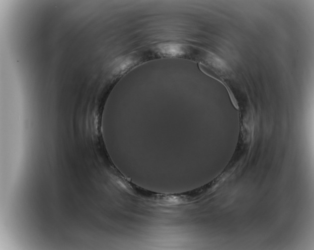X0000087370330200704271459