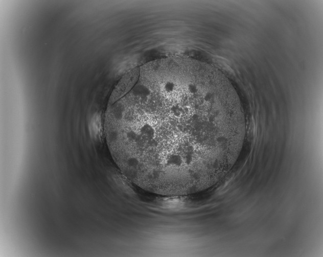 X0000087370335200704271459