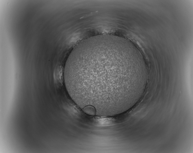 X0000087370336200704271459