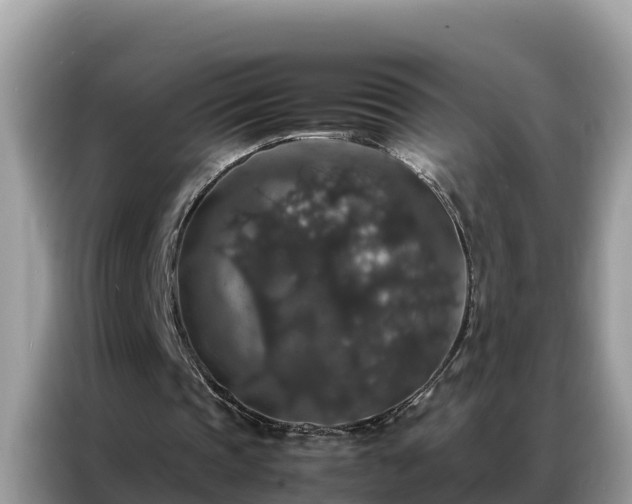 X0000087370337200704271459