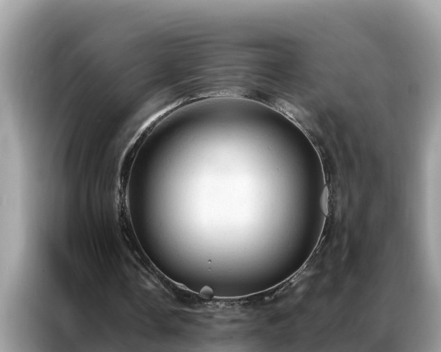 X0000087370338200704271459