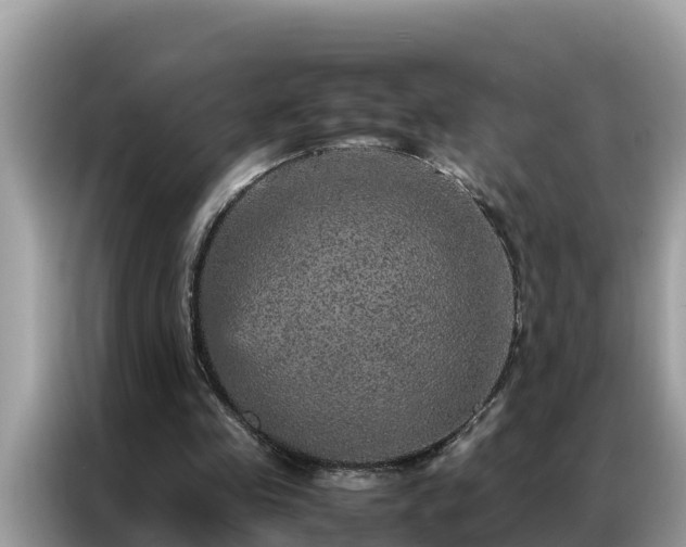X0000087370341200704271459