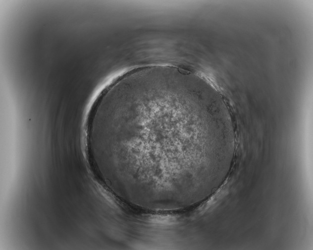 X0000087370342200704271459