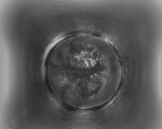 X0000087370343200704271459