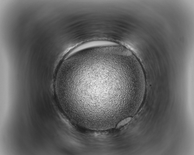 X0000087370345200704271459