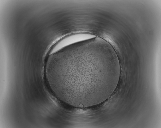 X0000087370346200704271459
