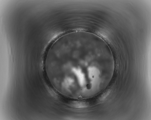 X0000087370351200704271459