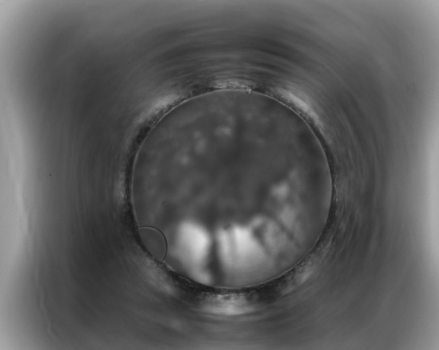 X0000087370353200704271459