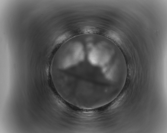 X0000087370357200704271459