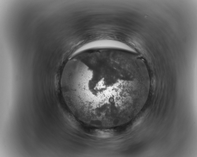 X0000087370359200704271459
