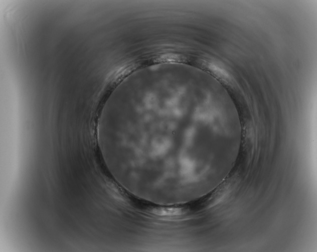 X0000087370361200704271459