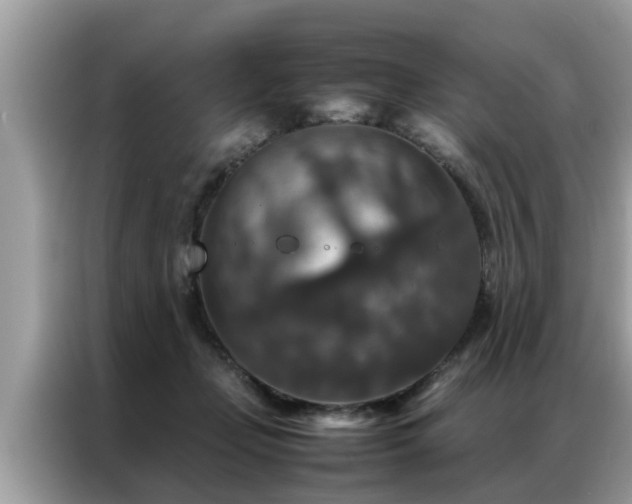 X0000087370365200704271459