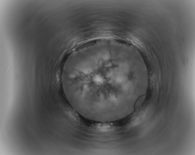 X0000087370373200704271459