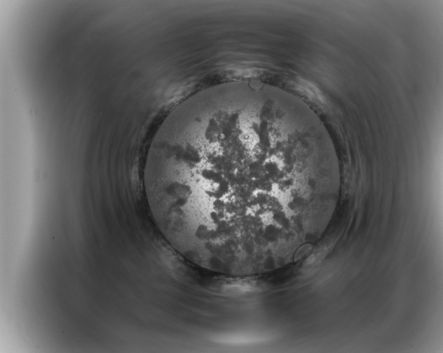 X0000087370377200704271459